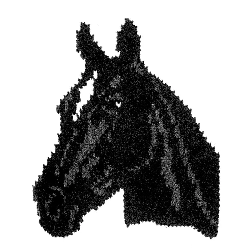 Black Horse Head